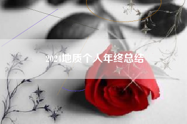2024地质个人年终总结
