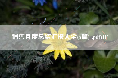 销售月度总结汇报大全(5篇) .pdfVIP