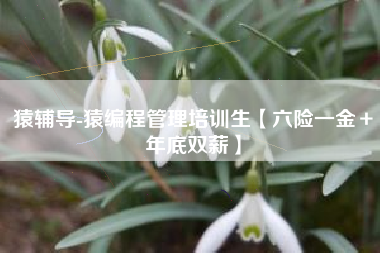 猿辅导-猿编程管理培训生【六险一金+年底双薪】 猿辅导-猿编程管理培训生【六险一金+年底双薪】