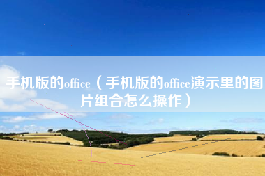 手机版的office（手机版的office演示里的图片组合怎么操作）