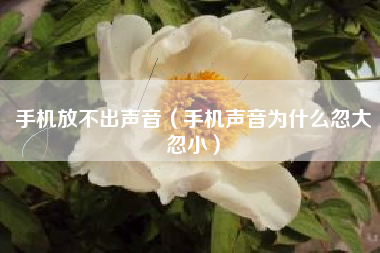 手机放不出声音（手机声音为什么忽大忽小）