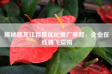 揭秘黑龙江百度优化推广策略，企业在线腾飞指南