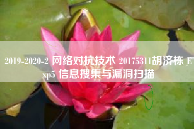 2019-2020-2 网络对抗技术 20175311胡济栋 Exp5 信息搜集与漏洞扫描