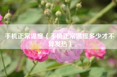 手机正常温度（手机正常温度多少才不算发热）
