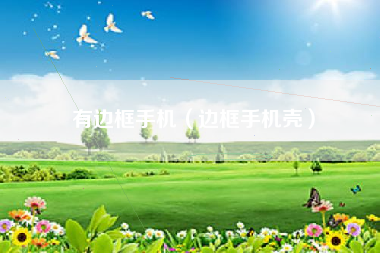 有边框手机（边框手机壳）