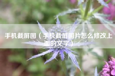 手机截屏图（手机截屏图片怎么修改上面的文字）