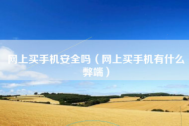 网上买手机安全吗（网上买手机有什么弊端）