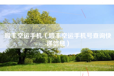 顺丰空运手机（顺丰空运手机号查询快递信息）