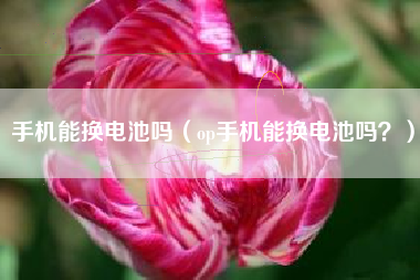 手机能换电池吗（op手机能换电池吗？）