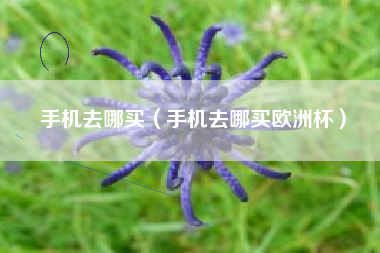 手机去哪买（手机去哪买欧洲杯）