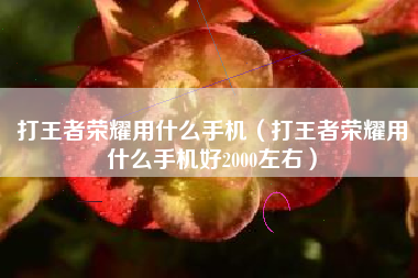 打王者荣耀用什么手机（打王者荣耀用什么手机好2000左右）