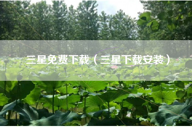 三星免费下载（三星下载安装）