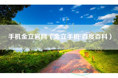 手机金立官网（金立手机 百度百科）