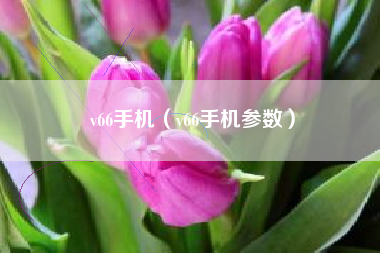 v66手机（v66手机参数）