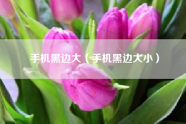 手机黑边大（手机黑边大小）