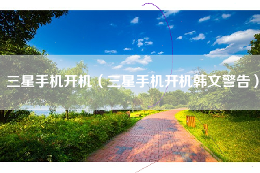 三星手机开机（三星手机开机韩文警告）