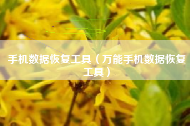 手机数据恢复工具（万能手机数据恢复工具）