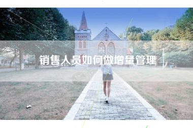 销售人员如何做增量管理