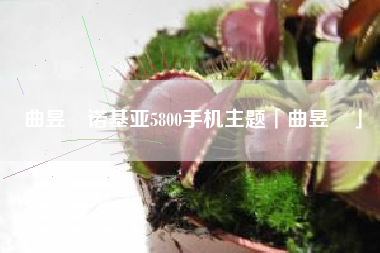 曲昱曈诺基亚5800手机主题「曲昱曈」 曲昱曈诺基亚5800手机主题「曲昱曈」