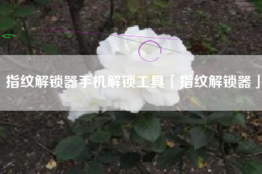 指纹解锁器手机解锁工具「指纹解锁器」
