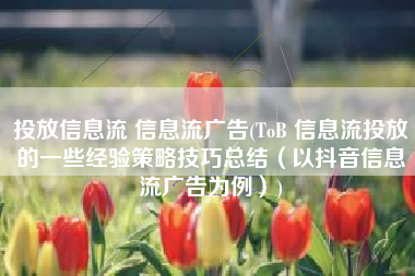投放信息流 信息流广告(ToB 信息流投放的一些经验策略技巧总结（以抖音信息流广告为例）)
