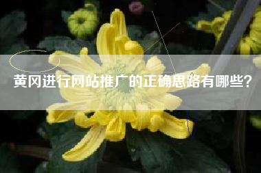 黄冈进行网站推广的正确思路有哪些？