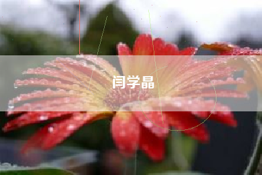 闫学晶 闫学晶